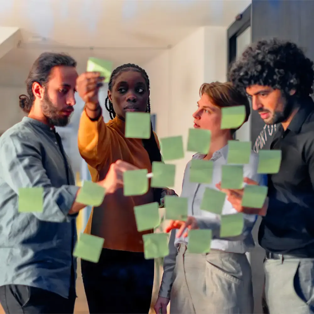 3M Learning Strategy